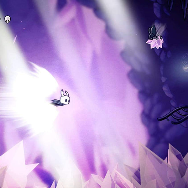 Hollow Knight - Nintendo Switch - RYL