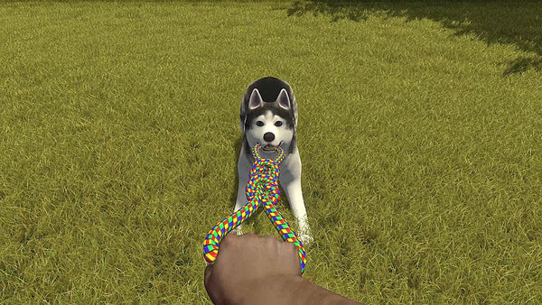House Flipper Pets Edition - PlayStation 4