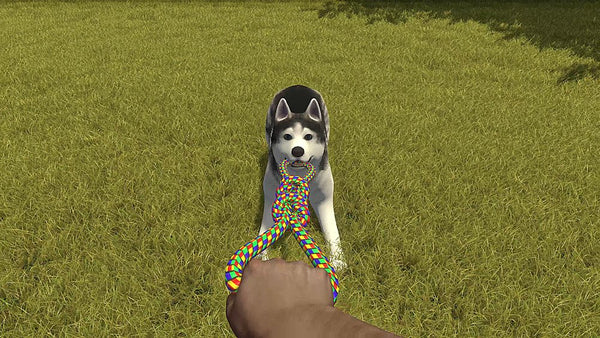 House Flipper Pets Edition - Nintendo Switch