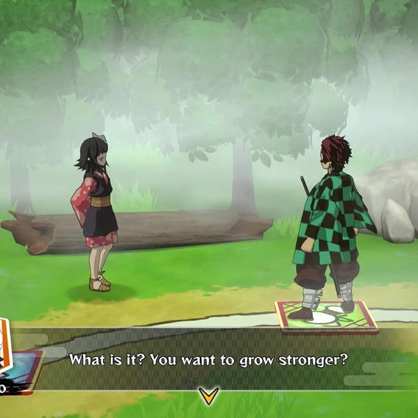 Demon Slayer Sweep The Board - Nintendo Switch - RYL