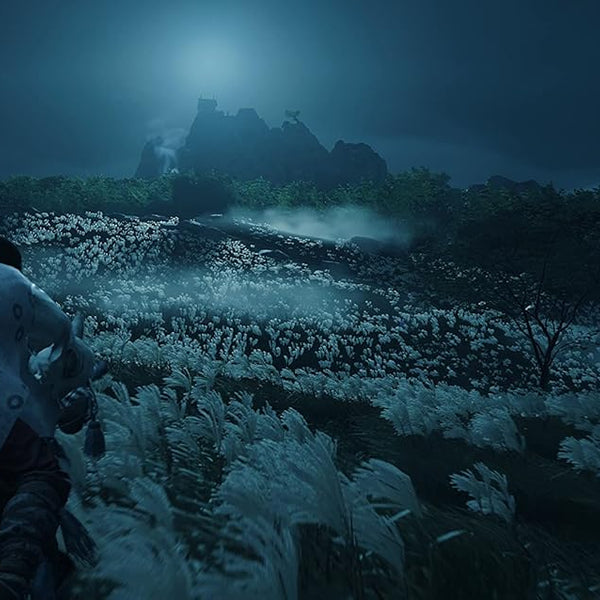 Ghost of Tsushima Director's Cut - EU - PlayStation 4