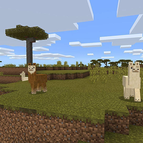 Minecraft    EU Version** - Nintendo Switch - RYL