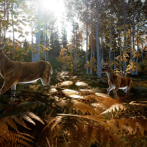 Hunting Simulator 2 - Nintendo Switch - RYL