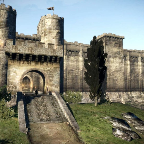 Dragon's Dogma: Dark Arisen - Nintendo Switch - RYL
