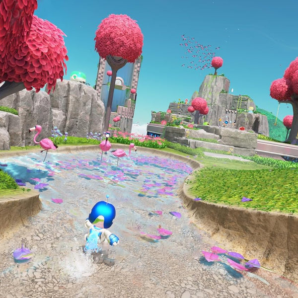 Astro Bot - Playstation 5 - RYL