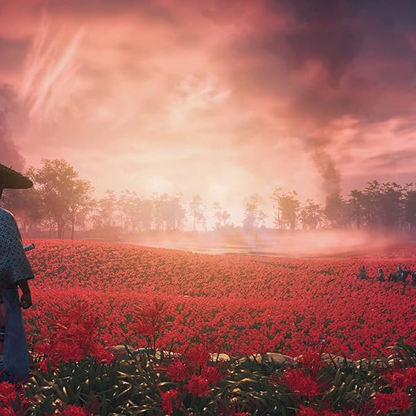 Ghost of Tsushima Director's Cut - EU - PlayStation 4