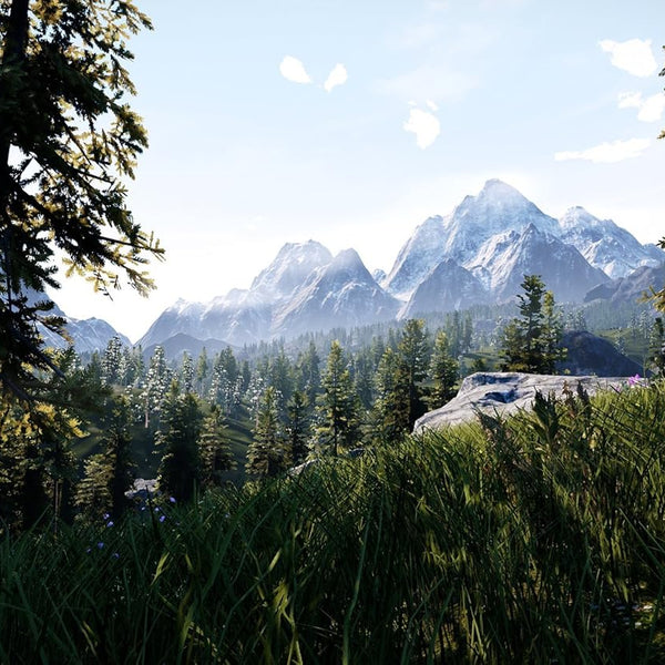 Hunting Simulator - Nintendo Switch - RYL