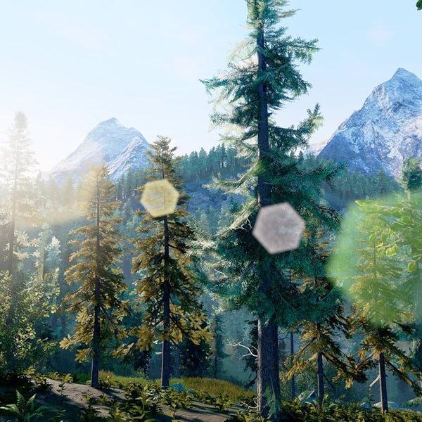 Hunting Simulator - Nintendo Switch - RYL