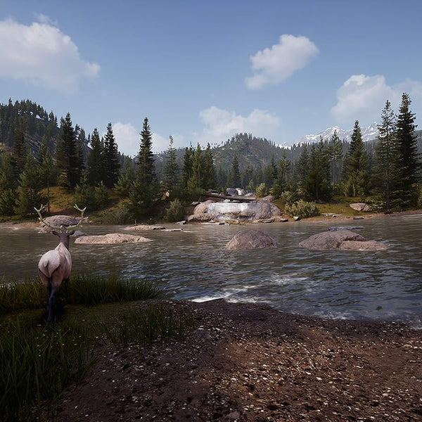 Hunting Simulator 2 - Nintendo Switch - RYL
