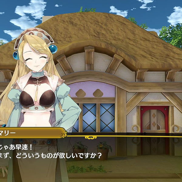 Nelke & The Legendary Alchemists: Ateliers of The New World - Nintendo Switch - RYL