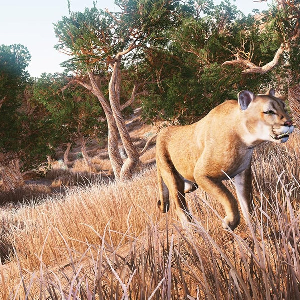Hunting Simulator - Nintendo Switch - RYL
